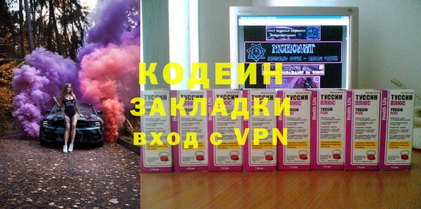 индика Алзамай