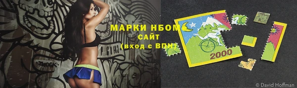 индика Алзамай