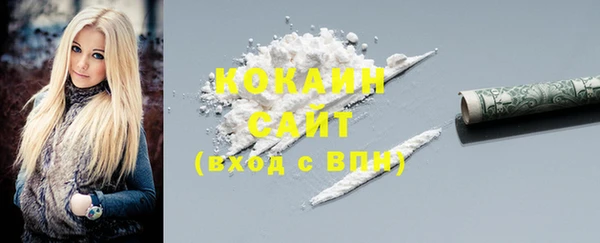 индика Алзамай
