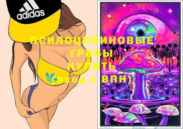 индика Алзамай