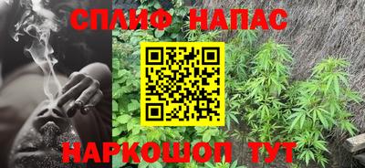 ешки Будённовск