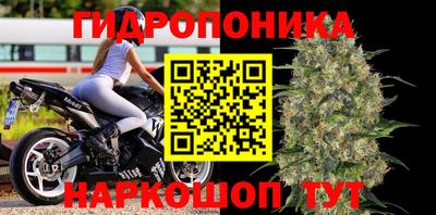 ешки Будённовск