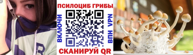 Галлюциногенные грибы Magic Shrooms  Качканар 