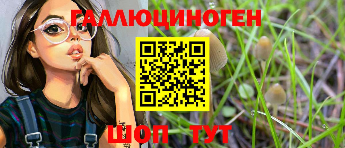 купить  сайты  Псилоцибиновые грибы ЛСД  Псилоцибиновые грибы Cubensis  Вход с VPN  Качканар 